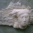 "Візії білого вітру", вовна повсть, 2009 р.